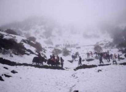 Darjeeling with Gangtok Tour