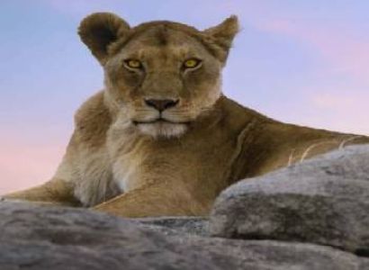 Adventure in Africa !