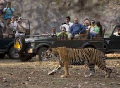 Ranthambore 2 Nights – Ex Jaipur Tour