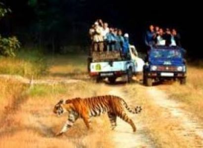 Mussoorie Corbett Nainital Tour 6 Days