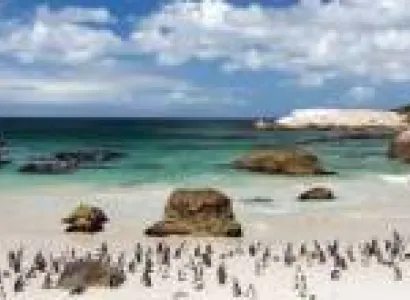 The Best of South Africa Tour 9 Days