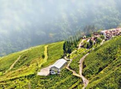 Darjeeling Tour