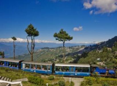 Darjeeling Tour