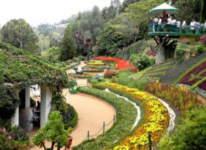 Ooty with Mysore Tour