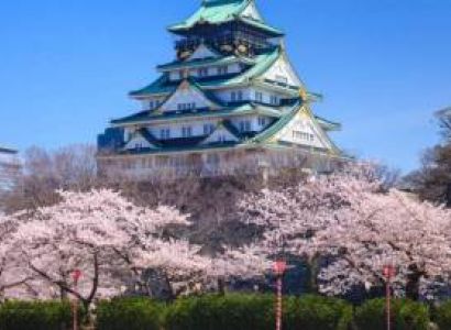 Japan's Cherry Blossom Tour