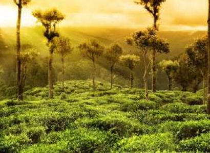 3 Nights and 4 Days Kerala Tour