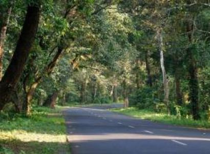 Lataguri with Alipurduar Tour (different Dooars) Image