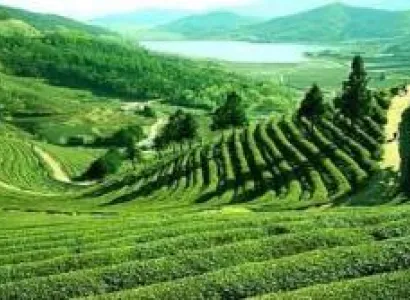 Lataguri with Alipurduar Tour (different Dooars)