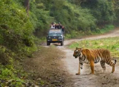 3 Nights 4 days Satkosia tour package
