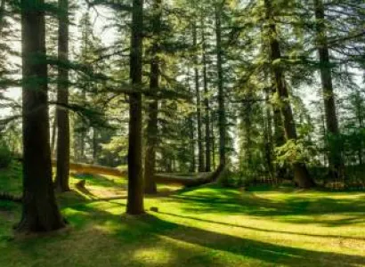 3 Nights 4 Days Dalhousie Khajjiar Tour Package from Delhi