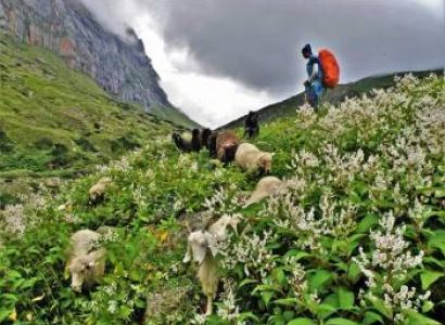 Rupin Pass Trek Tour