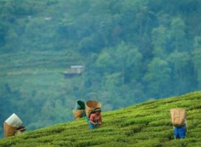 Sikkim, Lachen, Lachung 5n - 6d  Tour Package