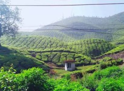 Land Of The Rising Sun 11 Nights - 12 Days Tour