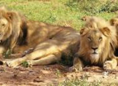 Gujrat Special Tour Package