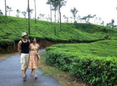 Ooty Honeymoon 4 Night - 5 Days Tour
