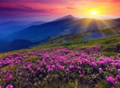 Shimla Manali Honeymoon Tour