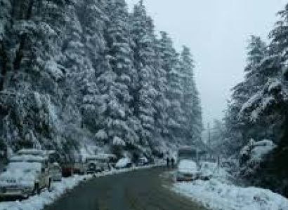 Shimla and Manali Tour