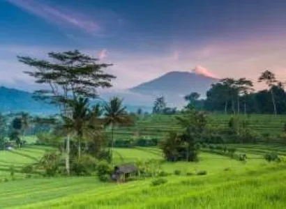 Bali Land Package Only