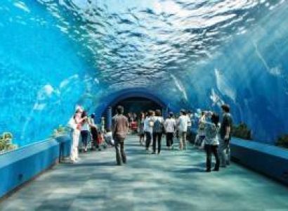 5 Night & 6 days Delhi to Thailand Package with Pattaya & Bangkok