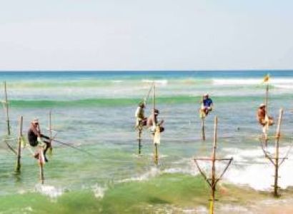 Flavors of Sri Lanka - 8 Days