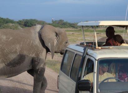 3 Days Maasai Mara Safari Tour