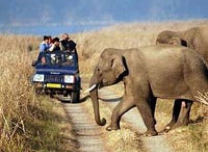 Sariska National Park