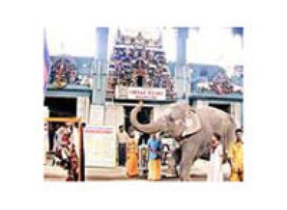 Spiritual Tour of Tamil Nadu - Pondicherry 10 Days