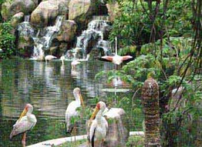 Singapore Classic Tour