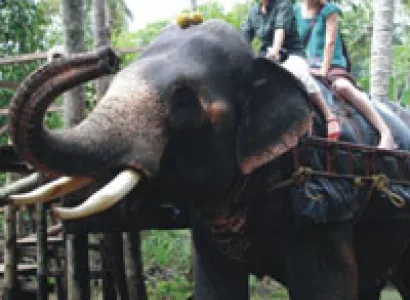 Golden Triangle + Kerala Tour Package