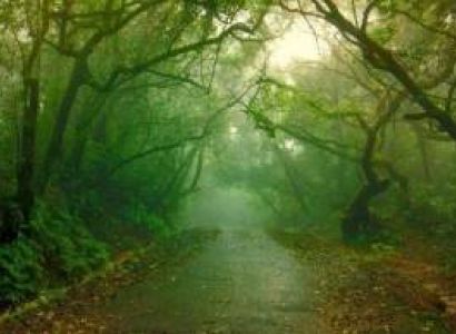 Lonavala - Mahabaleshwar 03 Night 04 Days Package