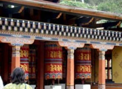 Bhutan via Rhino Colony Tour