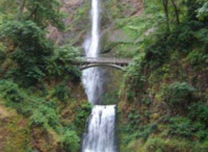 Madhya Pradesh Delight Package