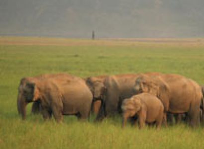 Majestic Uttarakhand Tour