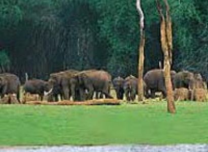 Best of Kerala Holiday Tour