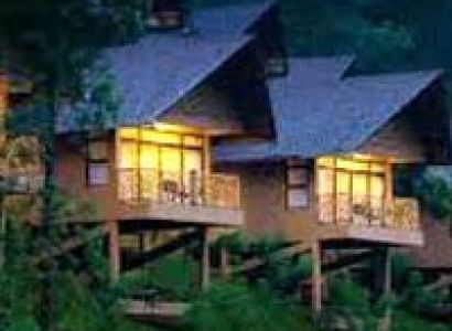 Discover Kerala Tour