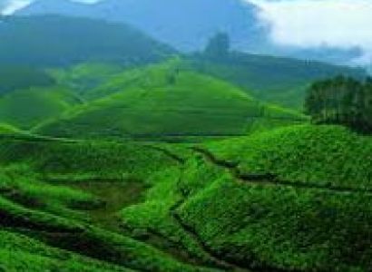 Hills of Kerala Tour