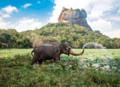 Ramayana Trails Tour