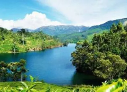 Attraction Of South Tour Package