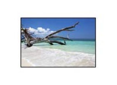 Colorful Andman Package