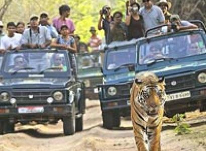 Rajasthan Wildlife Tour