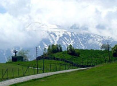 Srinagar Gulmarg Pahalgam Tour