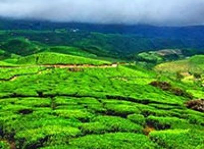 Delights of Kerala Tour (6 D & 5 N)