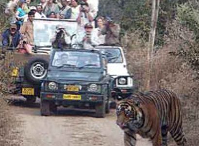 Rajasthan Definitely Color Complete Tour