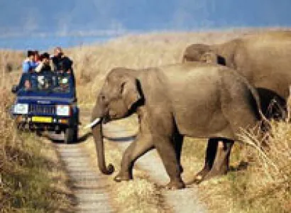 Delhi - Sariska Wildlife Tour