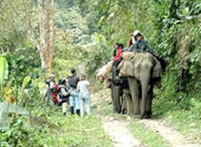 The Best of Best National Parks Tour of India