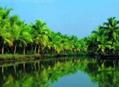 Munnar – Thekkady - Alleppey – Kovalam – Cochin Tour