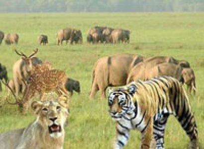 Corbett with Nainital & Ranikhet Tour