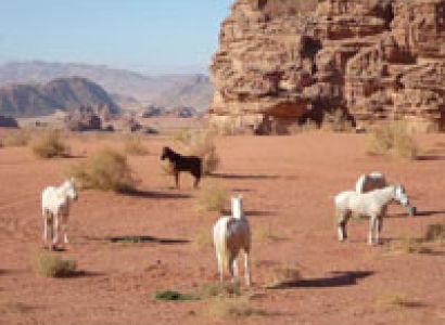 Horse Riding Holiday Tour