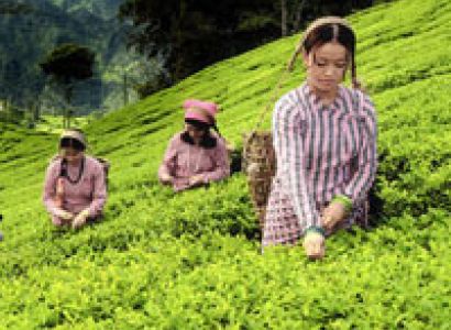Darjeeling - Mirik Tour Package