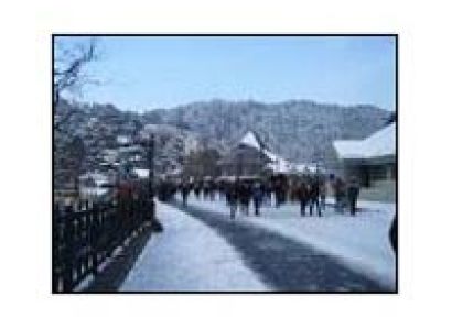 Shimla - Kullu - Manali Packages